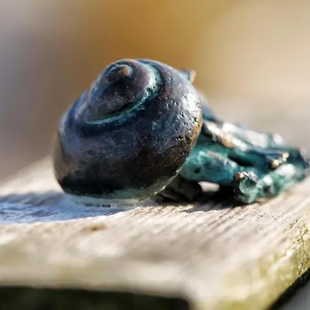 Kapitaensgarten 25 Prerow