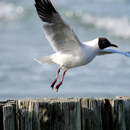 Kapitaensgarten 25 Apartment